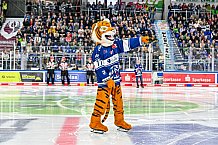 Eishockey, Herren, Penny DEL, 4. Spieltag, Saison 2023-2024, Straubing Tigers - Loewen Frankfurt,24.09.2023
