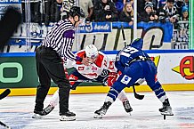 Eishockey, Men, CHL, Champions Hockey League, Regular Saison 2024-25, Game Day 4, Straubing Tigers - Dynamo Pardubice, 15.09.2024