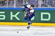 Eishockey, Men, CHL, Champions Hockey League, Regular Saison 2024-25, Game Day 4, Straubing Tigers - Dynamo Pardubice, 15.09.2024