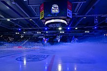 Eishockey, Herren, Penny DEL, 40. Spieltag, Saison 2023-2024, Straubing Tigers - Augsburger Panther,21.01.2024