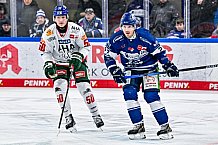 Eishockey, Herren, Penny DEL, 40. Spieltag, Saison 2023-2024, Straubing Tigers - Augsburger Panther,21.01.2024