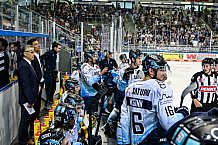 Eishockey, DEL, Penny-DEL, Vorbereitung, Straubing Tigers - ERC Ingolstadt, Gäubodencup 2022, Finale21.08.2022