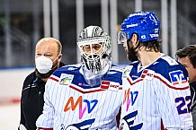 Eishockey, Herren, DEL, Saison 2021-2022, Straubing Tigers - Adler Mannheim, 10.09.2021