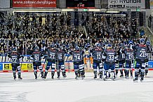 Eishockey, Herren, DEL, Saison 2021-2022, 19.10.2021
