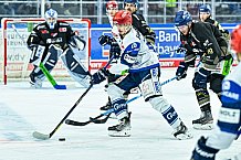 Eishockey, Herren, Penny DEL, 16. Spieltag, Saison 2023-2024, Straubing Tigers - Schwenninger Wild Wings,31.10.2023