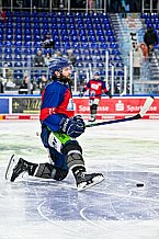 Eishockey, Herren, Penny DEL, 52. Spieltag, Saison 2023-2024, Straubing Tigers - Grizzlys Wolfsburg,08.03.2024