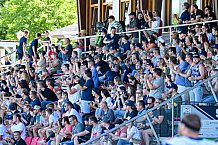 American Football, Herren, Shark Water GFL, Saison 2022, Straubing Spiders -  Mecenaries Marburg, 02.07.2022