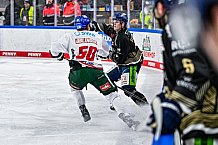 Eishockey, Herren, Penny DEL, 34. Spieltag, Saison 2023-2024, Straubing Tigers - Augsburger Panther,03.01.2024