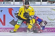 Herren, Eishockey, Oberliga-Süd, Saison 2022-2023, DEB, Deggendorfer SC - EC Bad Tölzer Löwen, 38. Spieltag,  20.01.2023