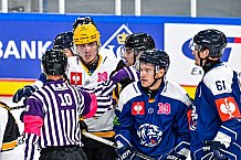 Eishockey, Men, CHL, Champions Hockey League, Regular Saison 2024-25, Game Day 2, Straubing Tigers - Skelleftea AIK, 08.09.2024