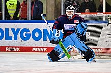 Eishockey, Herren, DEL, Penny DEL, Saison 2022-2023, Hauptrunde, Straubing Tigers - EHC Red Bull München, 47. Spieltag, 27.01.2023