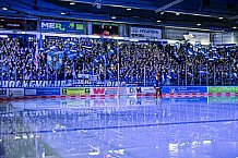 Eishockey, Herren, Penny DEL, DEL, Saison 2022-2023, Playoffs, Viertelfinale, Spiel 5, Straubing Tigers - Grizzlys Wolfsburg, 24.03.2023