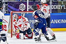 Eishockey, Men, CHL, Champions Hockey League, Regular Saison 2024-25, Game Day 4, Straubing Tigers - Dynamo Pardubice, 15.09.2024