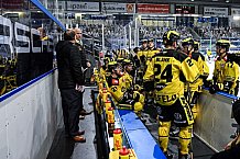 Eishockey, Herren, DEL, Saison 2020-2021, Straubing Tigers - Krefeld Pinguine, 07.04.2021