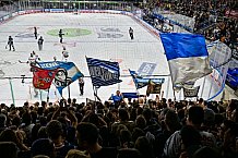 Eishockey, Herren, Penny DEL, 5. Spieltag, Saison 2023-2024, Straubing Tigers - EHC Red Bull Muenchen,29.09.2023