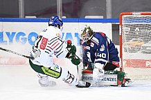 Straubing Tigers - Augsburger Panther