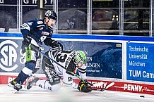 Eishockey, Herren, DEL, Saison 2021-2022, Panther, 21.12.2021