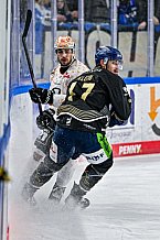 Eishockey, Herren, Penny DEL, 24. Spieltag, Saison 2023-2024, Straubing Tigers - Grizzlys Wolfsburg,03.12.2023