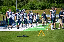 American Football, Herren, Shark Water GFL, Saison 2022, Straubing Spiders -  Mecenaries Marburg, 02.07.2022