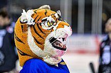 Eishockey, Herren, DEL, Saison 2021-2022, 49. Spieltag, Straubing Tigers - EHC Red Bull München,  27.02.2022