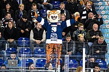 Eishockey, Herren, DEL, Saison 2021-2022, 24.10.2021