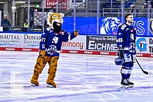 Eishockey, Herren, Penny DEL, DEL, Saison 2022-2023, Playoffs, Viertelfinale, Spiel 3, Straubing Tigers - Grizzlys Wolfsburg, 19.03.2023