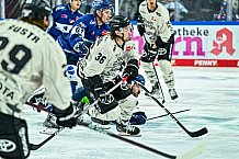 Eishockey, Herren, Penny DEL, 11. Spieltag, Saison 2023-2024, Straubing Tigers - Koelner Haie,15.10.2023