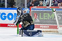 Eishockey, Herren, Penny DEL, 47. Spieltag, Saison 2023-2024, Straubing Tigers - Koelner Haie,18.02.2024