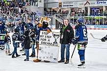 Eishockey, Herren, Penny DEL, Playoffs, Viertelfinale, Spiel 7, Saison 2023-2024, Straubing Tigers - Schwenninger Wild Wings,30.03.2024
