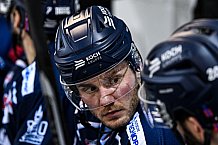 Eishockey, Herren, DEL, Saison 2021-2022, 10.12.2021