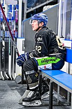 Eishockey, Herren, Penny DEL, 47. Spieltag, Saison 2023-2024, Straubing Tigers - Koelner Haie,18.02.2024