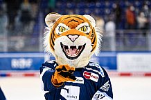 Eishockey, Herren, DEL, Saison 2021-2022, Panther, 17.09.2021