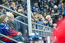 Eishockey, Herren, Penny DEL, 12. Spieltag, Saison 2023-2024, Straubing Tigers - Duesseldorfer EG,20.10.2023
