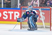 Eishockey, Men, CHL, Champions Hockey League, Regular Saison 2024-25, Game Day 2, Straubing Tigers - Skelleftea AIK, 08.09.2024