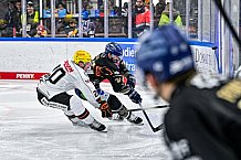 Eishockey, Herren, Penny DEL, 49. Spieltag, Saison 2023-2024, Straubing Tigers - Frankfurter Löwen,25.02.2024
