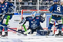 Eishockey, Herren, Penny DEL, Playoffs, Halbfinale, Spiel 2, Saison 2023-2024, Straubing Tigers - Eisbären Berlin, n03.04.2024