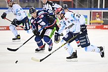 Straubing Tigers - ERC Ingolstadt
