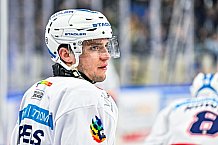Eishockey, Herren, Penny DEL, 50. Spieltag, Saison 2023-2024, Straubing Tigers - Eisbären Berlin,01.03.2024