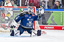 Eishockey, Herren, Penny DEL, Playoffs, Halbfinale, Spiel 4, Saison 2023-2024, Straubing Tigers - Eisbären Berlin, n07.04.2024