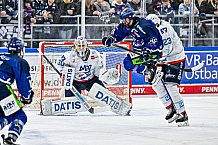 Eishockey, Men, DEL, Penny DEL, Hauptrunde Saison 2024-25, 8. Spieltag, Straubing Tigers - Adler Mannheim, 11.10.2024