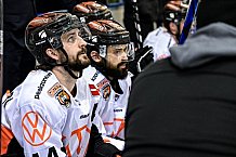 Eishockey, Herren, DEL, Saison 2021-2022, 39. Spieltag, Straubing Tigers - Grizzlys Wolfsburg,  18.02.2022