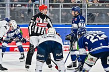 Eishockey, Herren, Penny DEL, 32. Spieltag, Saison 2023-2024, Straubing Tigers - Adler Mannheim,28.12.2023