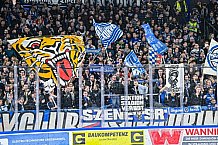 Eishockey, Herren, Penny DEL, 50. Spieltag, Saison 2023-2024, Straubing Tigers - Eisbären Berlin,01.03.2024