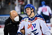 Eishockey, Herren, DEL, Saison 2021-2022, Straubing Tigers - Adler Mannheim, 10.09.2021