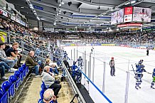 Eishockey, Herren, Penny DEL, 5. Spieltag, Saison 2023-2024, Straubing Tigers - EHC Red Bull Muenchen,29.09.2023