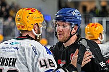 Eishockey, Herren, Penny DEL, 22. Spieltag, Saison 2023-2024, Straubing Tigers - Fischtown Pinguins Bremerhaven,26.11.2023