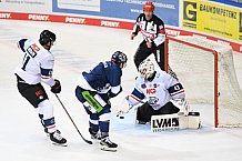 Eishockey, DEL, Penny-DEL, Vorbereitung, Gäubodencup 2021, 13.08.2021