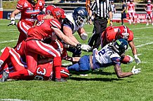 American Football, Herren, Shark Water GFL, Saison 2022, Straubing Spiders -  Mecenaries Marburg, 02.07.2022