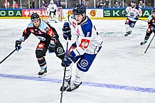Eishockey, Men, CHL, Champions Hockey League, Regular Saison 2024-25, Game Day 1, Straubing Tigers - SonderjyskE Vojens, 06.09.2024