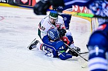 Eishockey, Herren, CHL, Champions Hockey League, Saison 2022-2023, Achtelfinale, Straubing Tigers - Frölunda HC Göteborg, Rückspiel, 22.11.2022